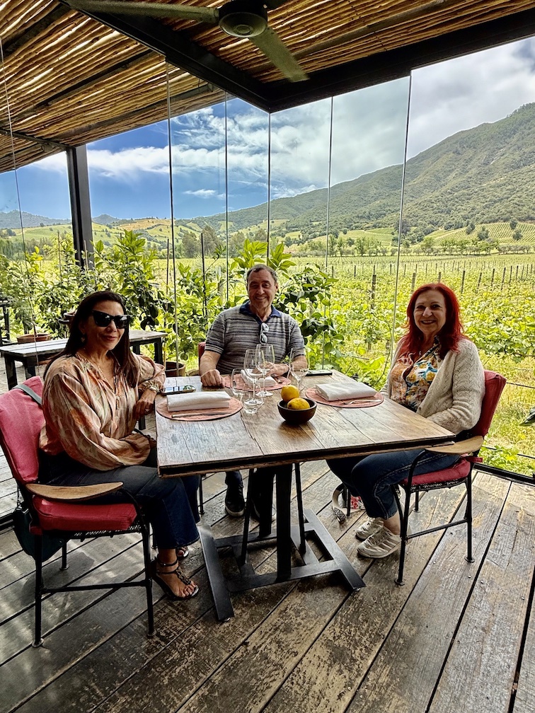 Dining with vineyard views in Colchagua