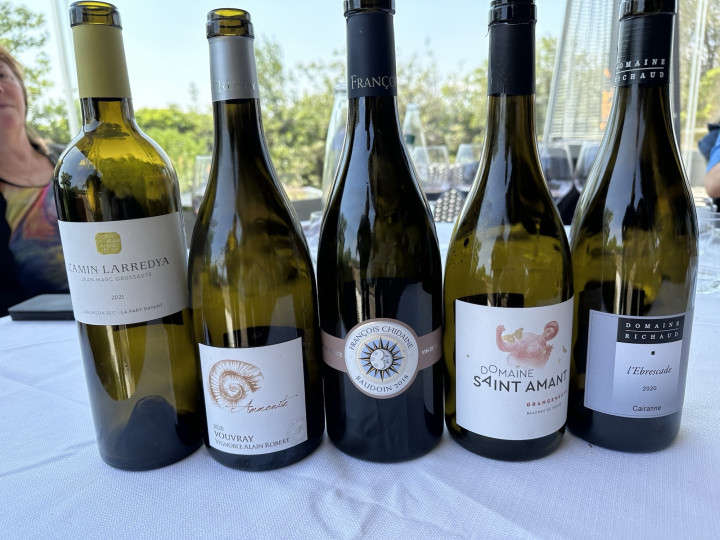 Wines of the Rhône hosted by Caliza Winery gallery 2