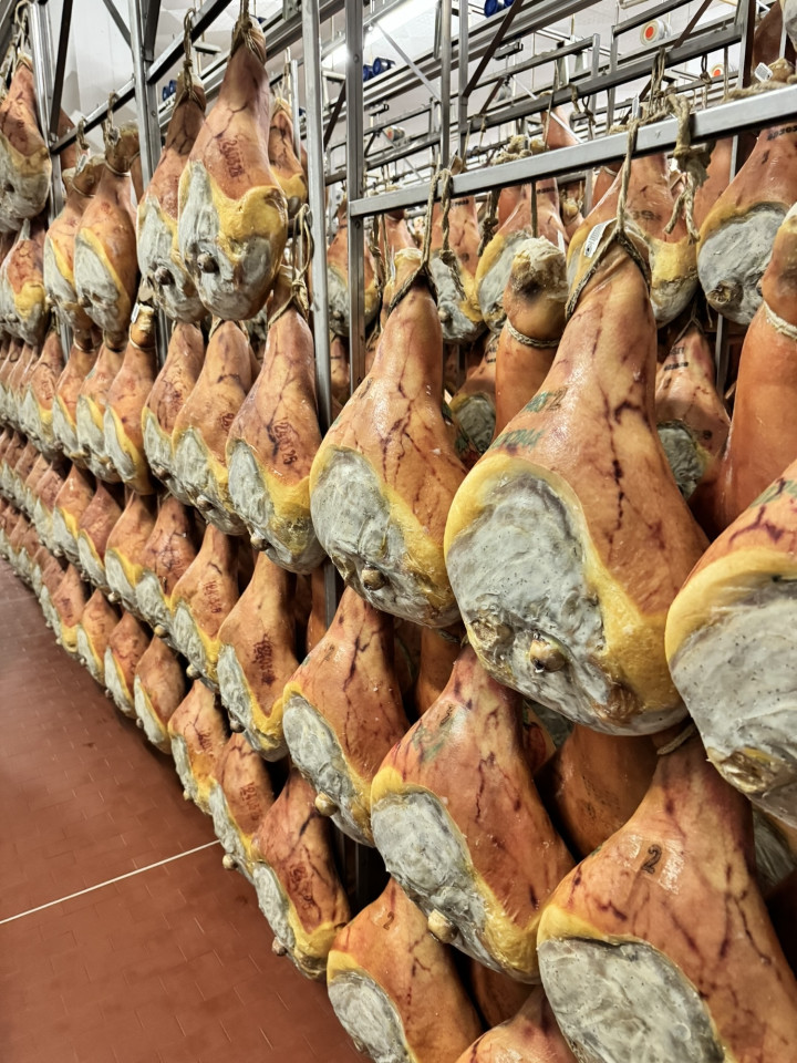 Uncorking the Flavors of Tuscany and Emilia Romagna hosted by Debbie Thomas gallery 4