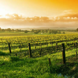 Santa Barbara wine country 08