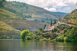 Douro Valley