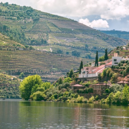 Douro Valley