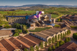 A Culinary Journey through Spain with Copia Vineyards and Winery day 3