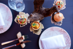 A Culinary Journey through Spain with Copia Vineyards and Winery day 7