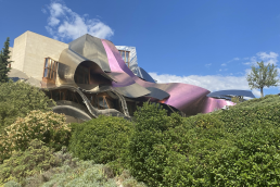 Gourmet Delights of Northern Spain with Debbie Thomas cover