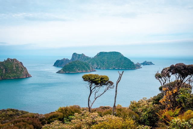 Stewart Island New Zealand