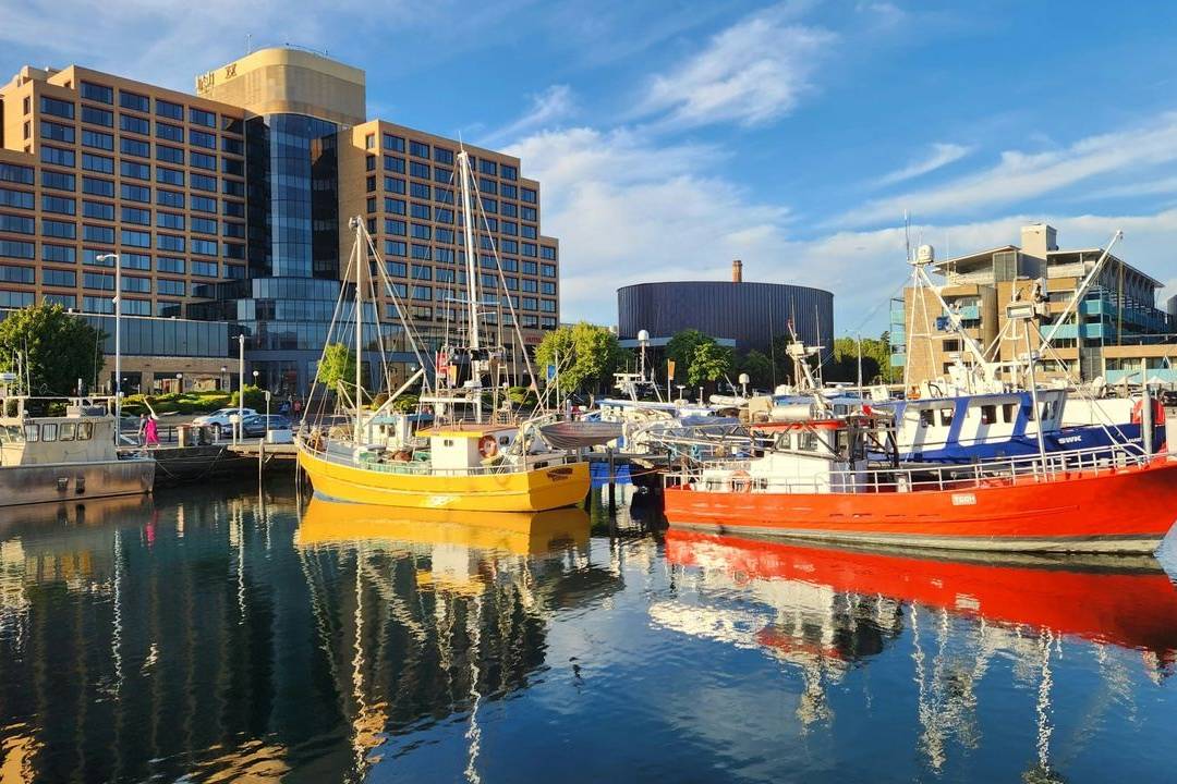 Brian Carter's Journey Down Under day 10