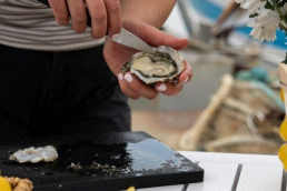 Brian Carter's Journey Down Under day 11