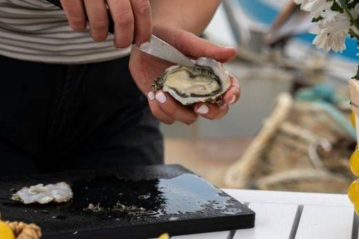 Brian Carter's Journey Down Under day 11