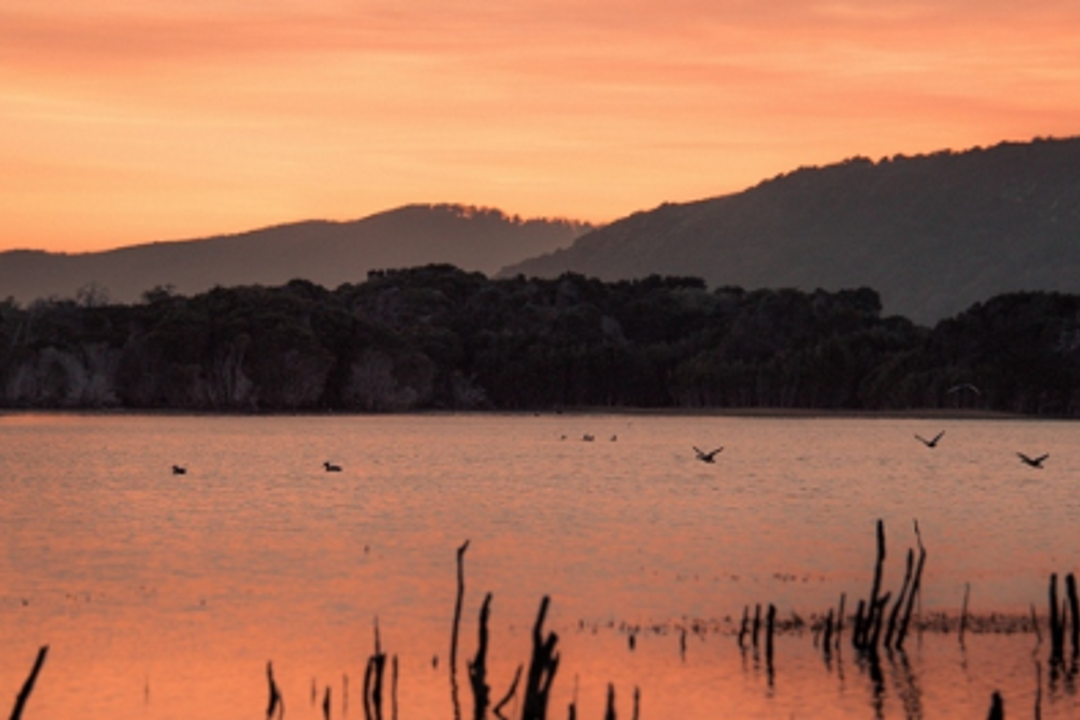 Brian Carter's Journey Down Under day 12