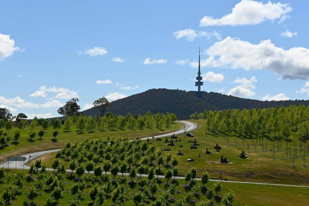 Brian Carter's Journey Down Under day 2