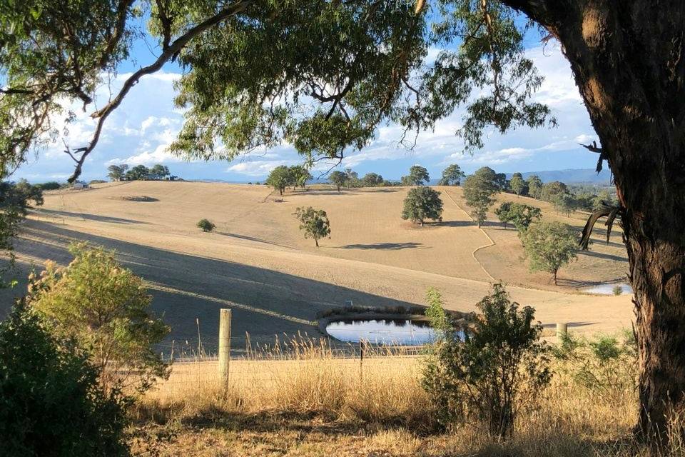 Brian Carter's Journey Down Under day 9