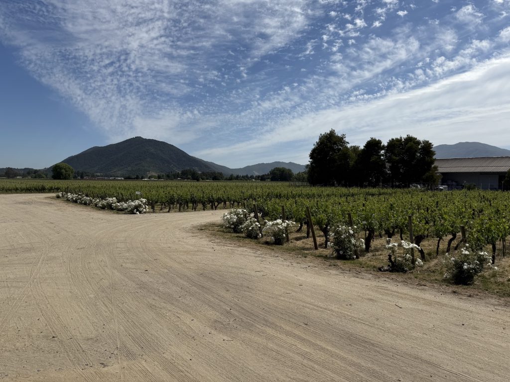 Maipo Valley