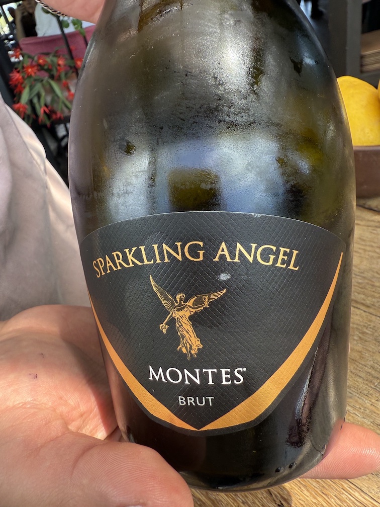 Bottle of Sparkling Angel Montes 